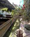 Гостиница Guest House Palm Сочи-5