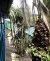 Гостиница Guest House Palm Сочи-2
