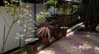 Гостиница Guest House Palm Сочи Номер "Стандарт"-108