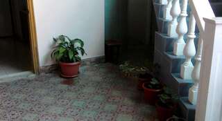 Гостиница Guest House Palm Сочи Номер "Стандарт"-136