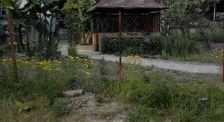Гостиница Guest House Palm Сочи Номер "Стандарт"-120