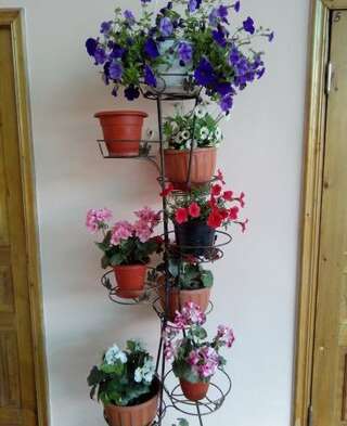 Гостиница Guest House Palm Сочи Номер "Стандарт"-50