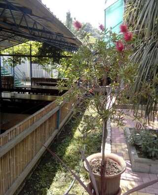 Гостиница Guest House Palm Сочи Номер "Стандарт"-6
