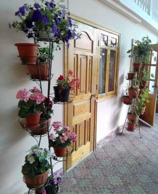 Гостиница Guest House Palm Сочи Номер "Стандарт"-49