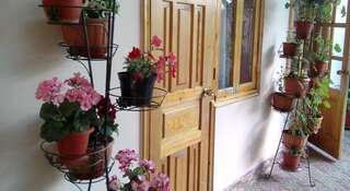 Гостиница Guest House Palm Сочи Номер "Стандарт"-54