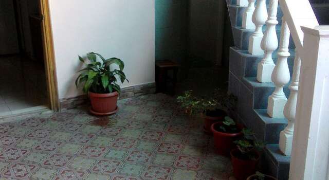 Гостиница Guest House Palm Сочи-138