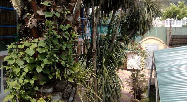 Гостиница Guest House Palm Сочи-83