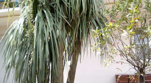 Гостиница Guest House Palm Сочи-92