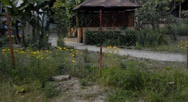Гостиница Guest House Palm Сочи-122