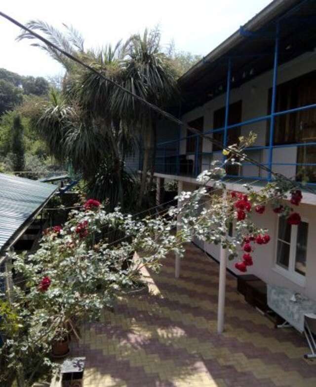 Гостиница Guest House Palm Сочи-18