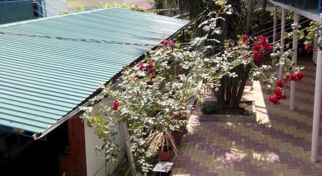 Гостиница Guest House Palm Сочи-87