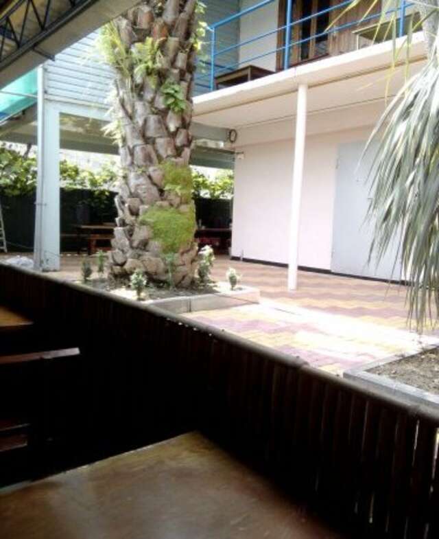 Гостиница Guest House Palm Сочи-10