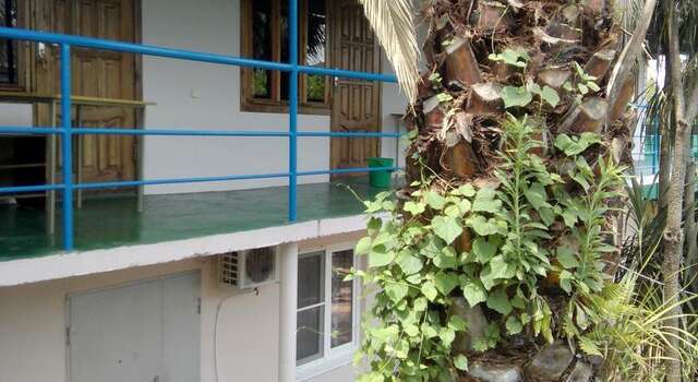 Гостиница Guest House Palm Сочи-84