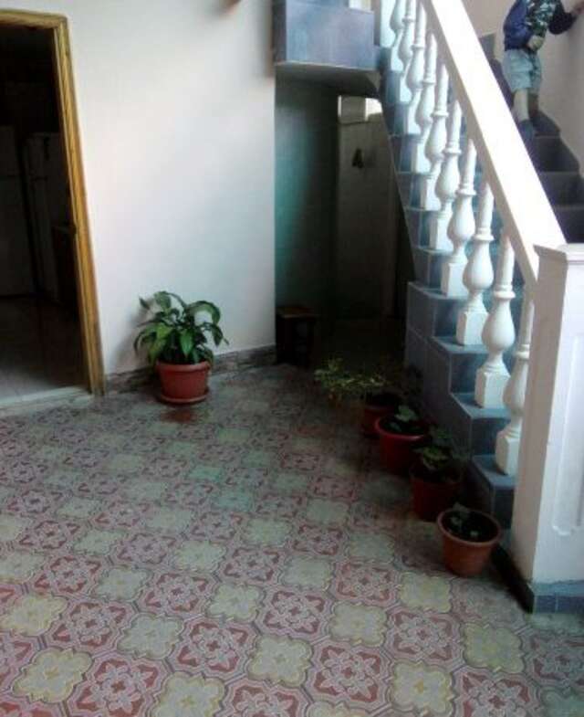 Гостиница Guest House Palm Сочи-48
